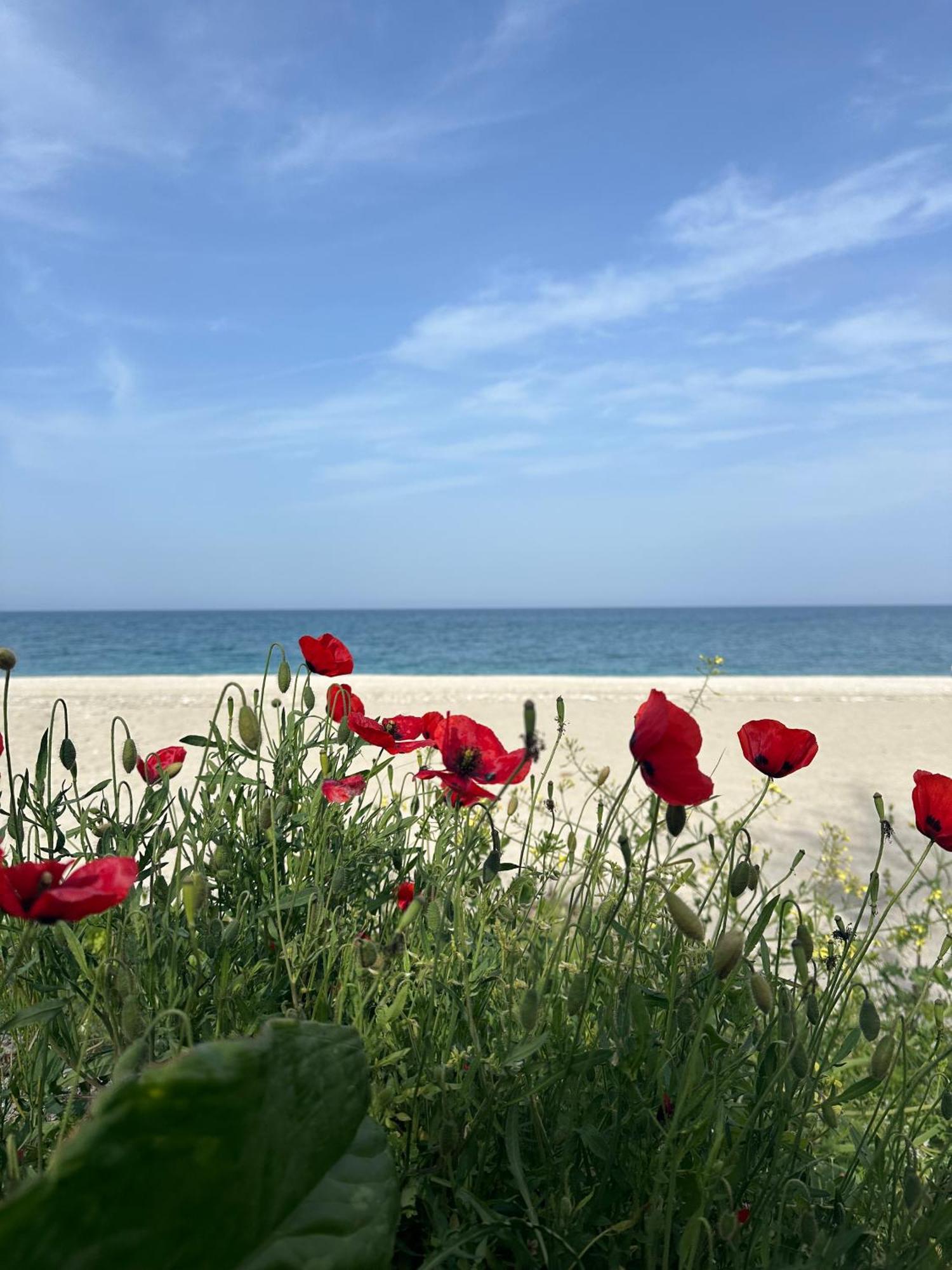 Amelia Beach Apartments Agios Ioannis  Dış mekan fotoğraf